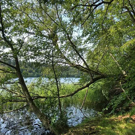 Bed & Breakfast Borgdal Silkeborg