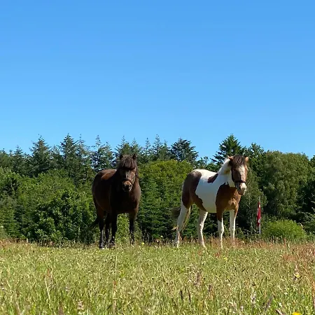 Borgdal סילקבורג