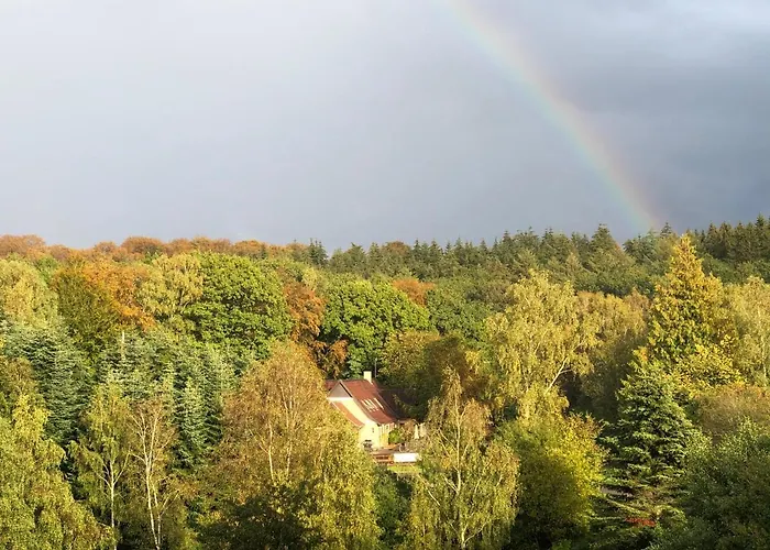 Bed & Breakfast Borgdal