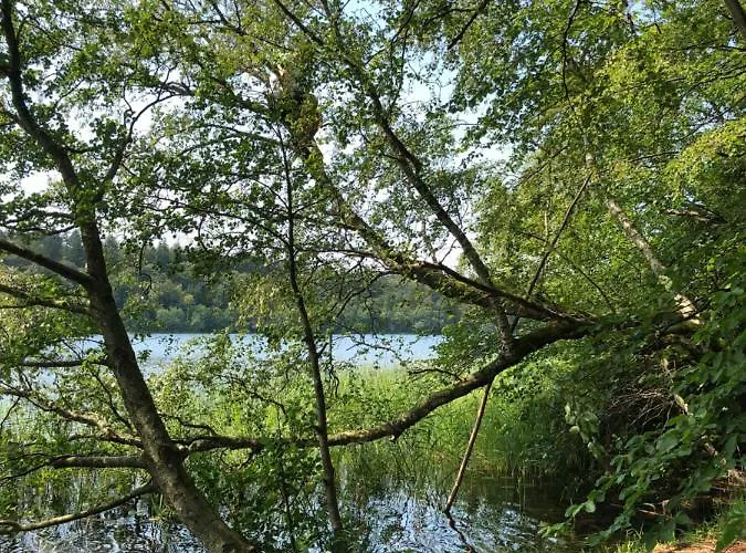 Bed & Breakfast Borgdal Silkeborg