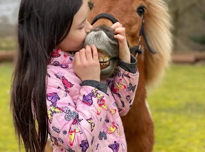 Borgdal 3* Silkeborg